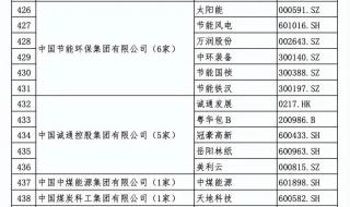 上市公司和国企共同控股的企业